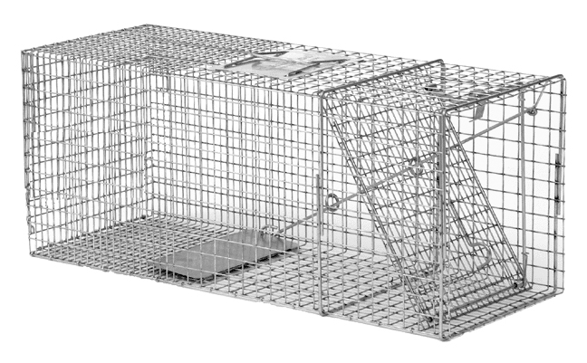 porcupine trap, porcupine traps, porcupine cage, porcupine cages